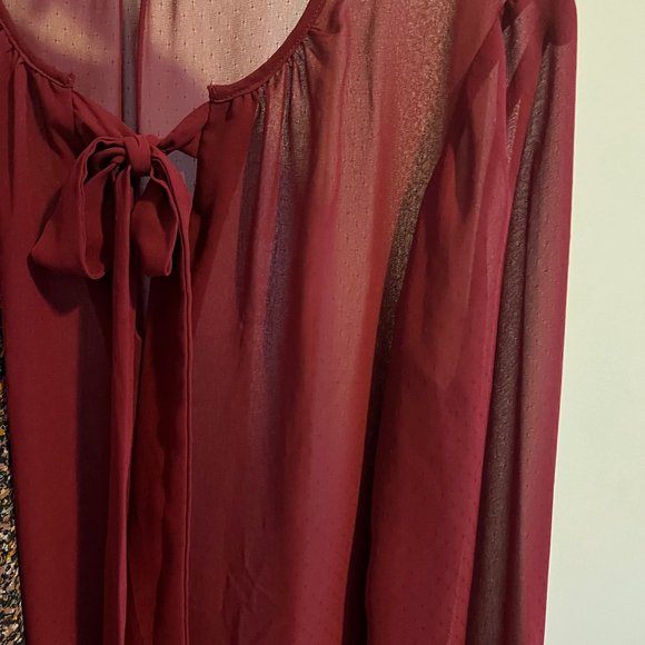 Two Blouses - Picture 3 of 6